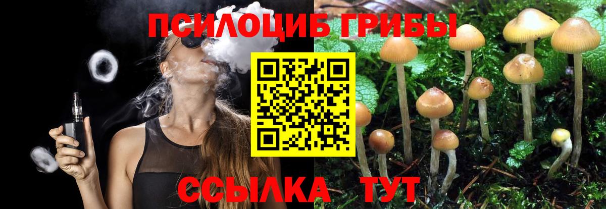 Псилоцибиновые грибы ЛСД  Псилоцибиновые грибы Psilocybe  Лиски  Вход с VPN 